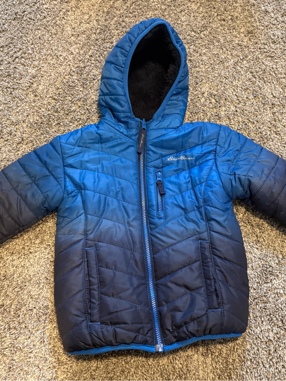 Eddie Bauer Boys Hooded Ombre Puffer Jacket - Blue to Navy